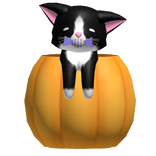 Pumpkin Kitty Friend