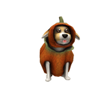 Puppy of the Week: Pumpkin Pup