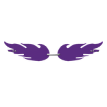 Purple Flame Sunglasses