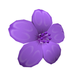 Purple Hair Flower