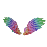 Rainbow Wings