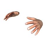 Realistic Grab Hands