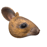 Realistic Mouse