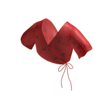 Red Floral Spring Tied Crop Top 