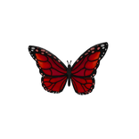 Red Forehead Butterfly