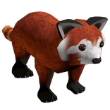 Red Panda