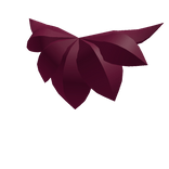 Rikkor Neck Fluff Miami