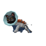 Rocket Cat