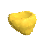 Rosy Maple Moth Neck Fluff