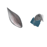 Royal Winter Rabbit Ears