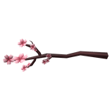 Sakura Branch