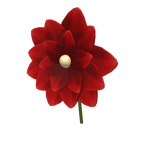 Scarlet Lapel Flower