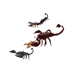 Scorpion Particles (Back)