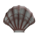 Seashell Snare