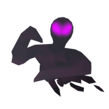 Shadow Spirit Companion