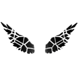 Shattered Angel Wings