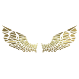 Shattered Golden Wings