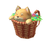 Shiba in a Basket