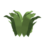 Shirt Elvish Fantasy