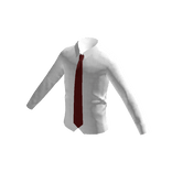Shirt with Red Tie