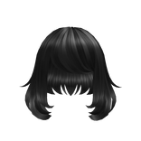 Short Black Fluffy Hair