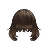 Short Brown Fluffy Hair