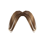 Side Bangs in Caramel