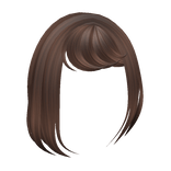 Side Swept Bangs in Brown