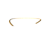 Simple Gold Ring Necklace