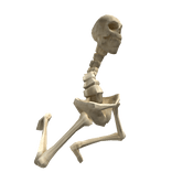Skeleton boi