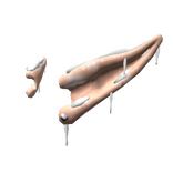 Snowy Frozen Elf Ears