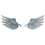 Sparkling Angel Wings