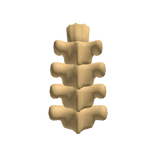 Spine bone (for headless)