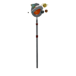 Staff of Shifting Polarity