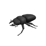 Stag Beetle Pal