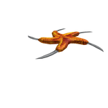 Starfish Shuriken