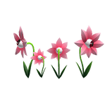 Staring Flower Eye Patch Pink