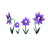 Staring Flower Eye Patch Purple