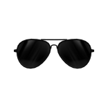 Stylish Noir Aviators