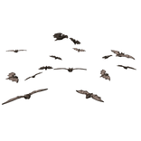 Swarm of Bats