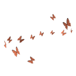 Swirl of Butterflies (Top)