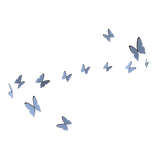 Swirl of Butterflies (Top)