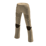 Tan Cargo Pants