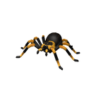 Tarantula Pet