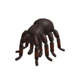 Tarantula Spider Suit