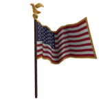 The Flag of the United States of America