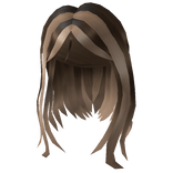 Trendy Brown and Blonde Hair