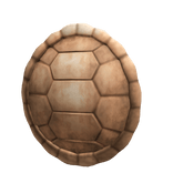 Turtle Back Shell