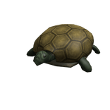 Turtle Shoulder Friend