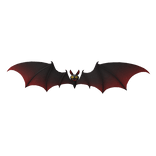 Vampire Bat Wings